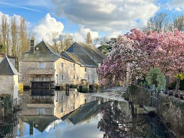 House for sale VERTEUIL-SUR-CHARENTE 16510 Charente Poitou-Charentes France: Verteuil-Sur-Charente. Charming Old Water Mill in an Idyllic Setting. Former flour mill full of character located in the magnificent village of Verteuil-sur-Charente. Nestling in an idyllic waterside ...