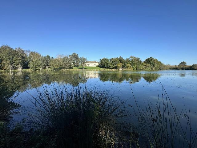 Agrarisch-bedrijf te koop in LE VIGEANT 86150 Vienne Poitou-Charentes Frankrijk: Extreem zeldzaam. 5 hectare visvijver met 2 huizen die uitkijken over het meer. Gelegen in het prachtige landschap van het departement Vienne in het centrum van Frankrijk is dit een zeer zeldzame kans...