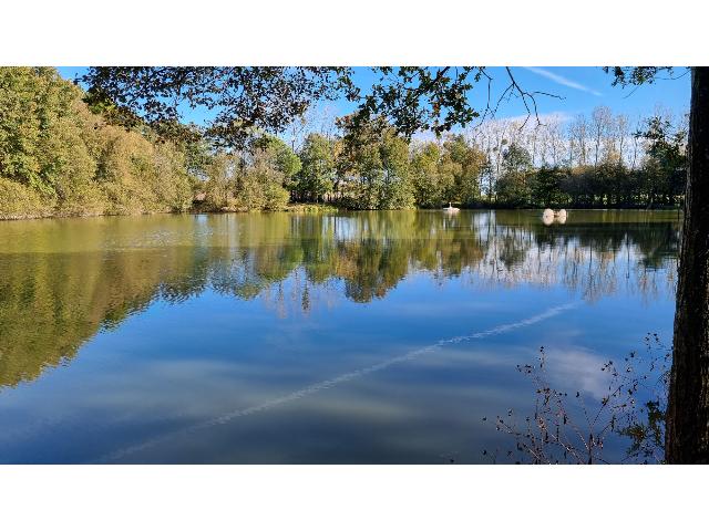 Agrarisch bedrijf te koop in MENEAC 56490 Morbihan Bretagne France: Uitzonderlijke vismeren op bijna 4 hectare. Verscholen in het vredige platteland van Midden-Bretagne is dit een zeldzame kans om bijna 4 hectare grond te verwerven met twee prachtige natuurlijke meren...