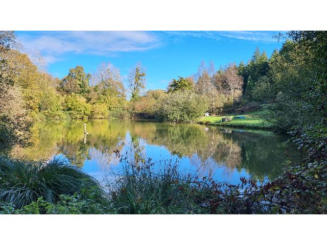 Agrarisch bedrijf te koop in MENEAC 56490 Morbihan Bretagne France: Perceel van 1,2 hectare met een meer van 2.300 m² op het vredige Bretonse platteland. Droomt u al een tijdje van een eigen privémeer in hartje Bretagne? Dan is dit uw kans. Gelegen in een vredig lan...