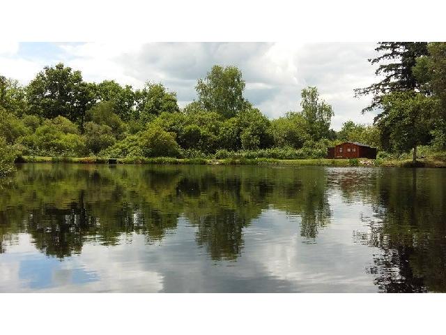 Bien-Agricole &agrave; vendre &agrave;&nbsp;COMPREIGNAC 87140 Haute-Vienne Limousin France: Très Rare Opportunité Pavillon Avec Un Grand étang Isolé Située à proximité du village de Compreignac, au milieu d'une forêt et totalement isolée, cette très rare opportunité d'acquérir un...