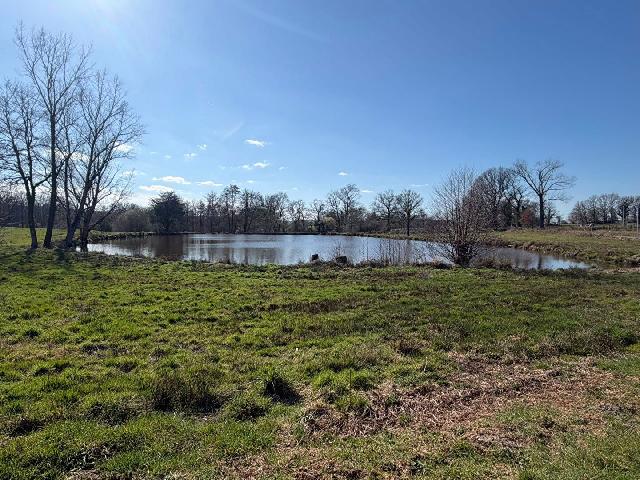 Bien-Agricole &agrave; vendre &agrave;&nbsp;BESSINES SUR GARTEMPE 87250 Haute-Vienne Limousin France: Étang Bessines Sur Gartempe Situé à seulement cinq minutes en voiture de la commune de Bessines-sur-Gartempe, au coeur de la campagne de la Haute-Vienne, ce petit étang de pêche d'environ 6 000 m...