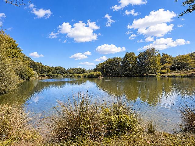 Agrarisch bedrijf te koop in&nbsp;BALLEDENT 87290 Haute-Vienne Limousin France: Schitterend woonhuis met gîte, reglementair karpermeer en 2,5 hectare grond. Gelegen in het hart van de Haute-Vienne, in de prachtige Gartempe-vallei en vlak bij Châteauponsac, biedt dit schitterend...