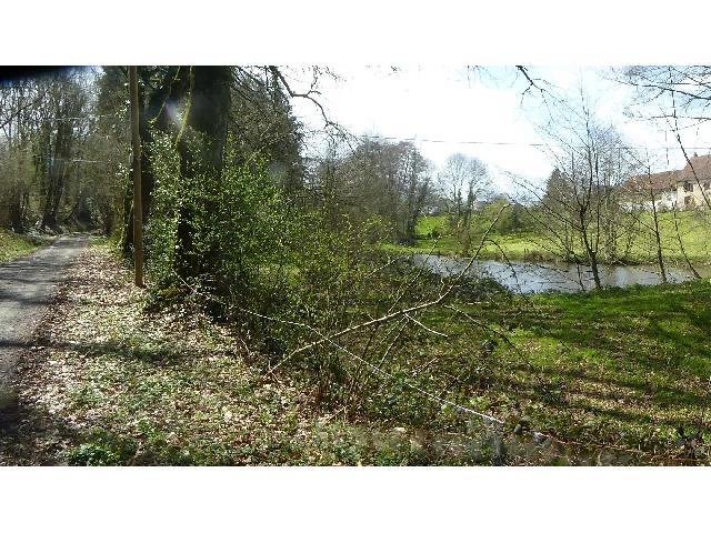 8+1
