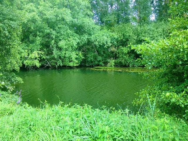 Agrarisch-bedrijf te koop in&nbsp;TAIZÉ-AIZIE 16700 Charente Poitou-Charentes Frankrijk: Recreatieterrein van 1980m2 met riviergevel. Een prachtig stuk recreatiegrond met riviergevel in het dorp Taizé Aizie, gelegen tussen de marktstad Ruffec en Civray.<br />
<br />
Het heeft een oppervlakte van o...