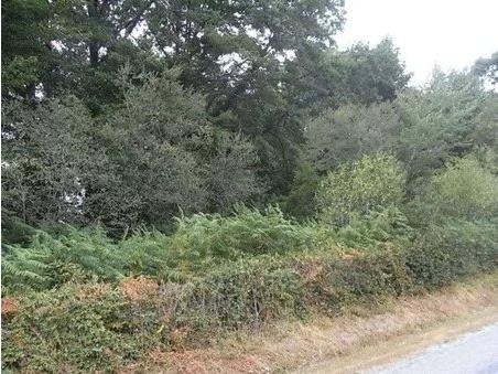 Terrain &agrave; vendre &agrave;&nbsp;CROMAC 87160 Haute-Vienne Limousin France: Terrain. Un terrain de bois ou à bâtir d'environ 1830m² dans un hameau tranquille à proximité de la ville de St Sulpice Les Feuilles avec ses commerces et proche du Lac Mondon. L'aéroport intern...