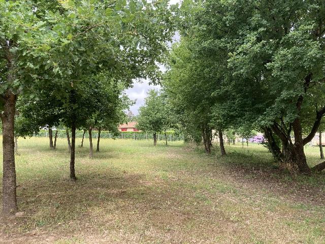 Land&nbsp;for sale&nbsp;PUYMANGOU 24410 Dordogne Aquitaine France: Building plot near Saint Aulaye. Building plot with permission very close to Saint Aulaye, partle fenced and with private driveway. Permission granted.Garden with mature trees. Water and electricity t...