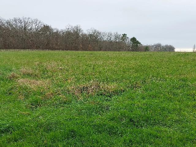 Bouwterrein te koop in&nbsp;SAINTE-COLOMBE 17210 Charente-Maritime Poitou-Charentes Frankrijk: Bouwgrond. Perceel van 1997m² op het platteland en dichtbij winkels en het stadscentrum (Montendre 13km). Geen voorzieningen op het perceel. Vlak land zonder bomen en op een rustige locatie. Het is m...