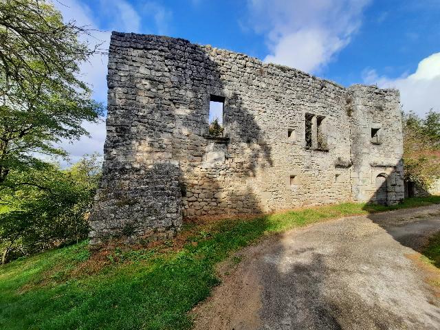 Maison à vendre à MONTASTRUC 47380 Lot-et-Garonne Aquitaine France: Ruines d'un château du 13ème siècle au cœur d'une bastide. EN EXCUSIVITE ! Incroyable opportunité de devenir propriétaire d'un magnifique château du 13ème siècle à rénover entièrement. Ce ...