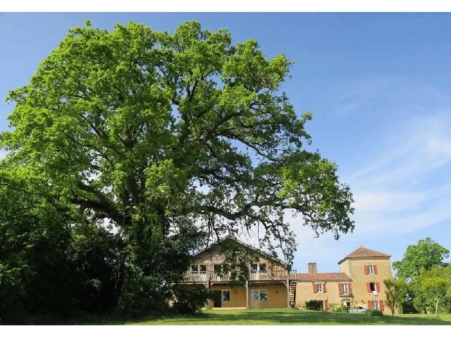 Gîtes/Chambres d'hôtes te koop in SAINTE-DODE 32170 Gers Midi-Pyrénées France: Uitzonderlijk landgoed met een adembenemend uitzicht op de Pyreneeën. EXCLUSIEF BIJ BEAUX VILLAGES! Gelegen aan de rand van een charmant dorp, biedt dit uitgestrekte landgoed een unieke omgeving met ...