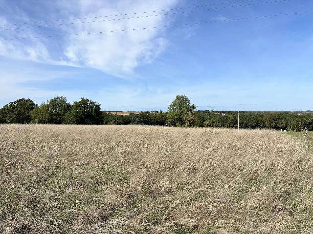 Bouwterrein te koop in ROQUECOR 82150 Tarn-et-Garonne Midi-Pyrénées France: Bouwperceel van 2296 m². Onderhouden. Op 200 m van het dorpscentrum van Roquecor met vrij uitzicht en bereikbaar via een landweg.<br />
School, restaurants.<br />
<br />
Prijs inclusief makelaarskosten: € 40.500<br />
...