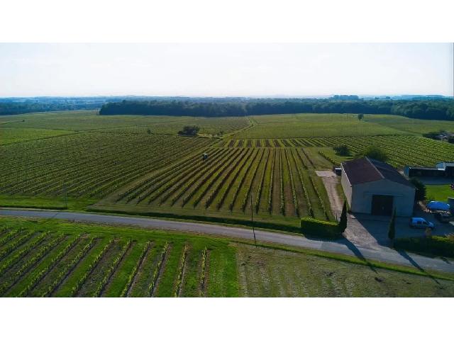 Agrarisch bedrijf te koop in SAUVETERRE-DE-GUYENNE 33540 Gironde Aquitaine France: Biologisch AOC-wijndomein van 22 hectare. Gelegen in het hart van de Entre-Deux-Mers, te midden van vredige glooiende heuvels, is dit biologische AOC-wijndomein van 22 hectare beschikbaar voor iemand ...