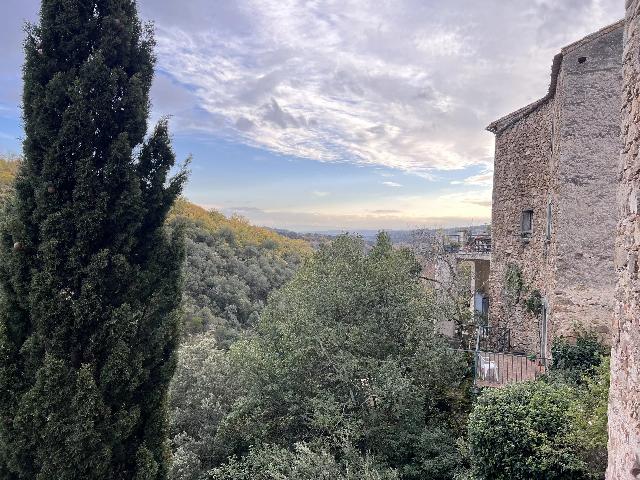 Huis te koop in&nbsp;MONTOLIEU 11170 Aude Languedoc Roussillon France: Een historisch toevluchtsoord met een opmerkelijk uitzicht. Dit karaktervolle huis, direct ingebouwd in de 15e-eeuwse vestingmuur, valt op door zijn unieke charme en spectaculaire ligging. Hoog boven ...