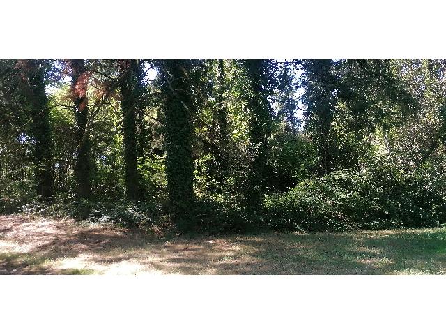 4+1