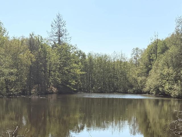 Bien Agricole&agrave; vendre &agrave;&nbsp;MONTROLLET 16420 Charente: Étang privé de loisirs et de pêche avec bois proche de Montrollet. EN EXCLUSIVITÉ! Une belle opportunité d'acquérir un étang privé de loisirs et de pêche conforme, avec terrain et bois enviro...