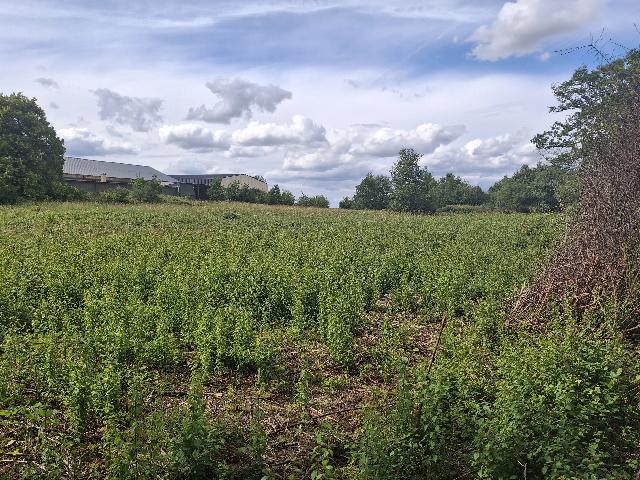 Bouwterrein te koop in&nbsp;BELLAC 87300 Haute-Vienne Limousin France: Commercieel bouwperceel met te renoveren gebouw – Aan de rand van Bellac. Dit object in de gemeente Peyrat-de-Bellac ligt vlak bij de rondweg en op korte afstand van de winkels en bedrijven van Bell...