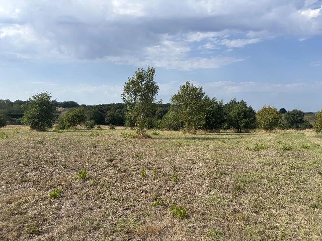 Bouwterrein te koop in&nbsp;THÉNAC 17460 Charente-Maritime Poitou-Charentes France: Bouwgrond met een prachtig uitzicht. Een perceel van in totaal 2.489 m², waarvan 1.206 m² bebouwbaar, in een rustige, groene omgeving met een mooi, onbelemmerd uitzicht. De bouwvergunning is verlope...