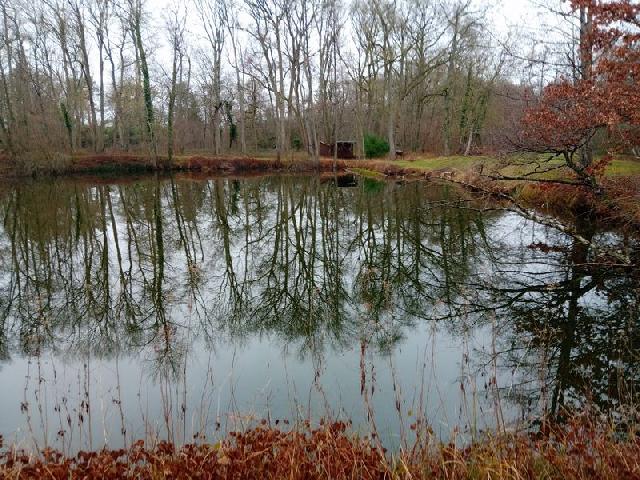 Agrarisch-bedrijf te koop in NEMOURS 77140 Seine-et-Marne Ile de France Frankrijk: Negen vijvers met 9,65 ha water om te exploiteren. Een echt bedrijf is mogelijk om deze woning te promoten.<br />
De geografische ligging is een onmiskenbaar pluspunt.<br />
Landcapaciteit van ongeveer 8ha 50a ...