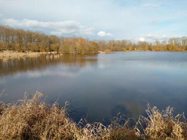 Bien-Agricole à vendre à GUÉRET 23000 Creuse Limousin France: Etang de 3ha en Creuse (23). L’accès est très commode par une belle allée empierrée sans issue.<br />
La propriété, d’un peu plus de 4ha, est ceinte par des fossés.<br />
L’étang couvre 3ha.<br />
Prof...