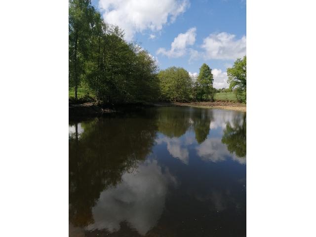 Agrarisch-bedrijf te koop in&nbsp;CLERMONT-FERRAND 63000 Puy-de-Dôme Auvergne Frankrijk: Meer. Op 50 minuten van Clermont-Ferrand, op een perceel van 16.000 m², met een meertje van 6.000 tot 7.000 m².<br />
Privé, verharde toegangsweg en toegangspoort.<br />
Nieuwe betonnen afwatering en betonne...