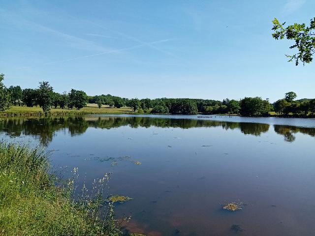 Agrarisch-bedrijf te koop in&nbsp;GUÉRET 23000 Creuse Limousin Frankrijk: Een vijver van 4,20 hectare met een geregistreerde eigendomsakte in de regio Creuse. Het perceel van 6,25 hectare omvat een vijver, een bassin stroomafwaarts van een charmant huisje en het omliggende ...