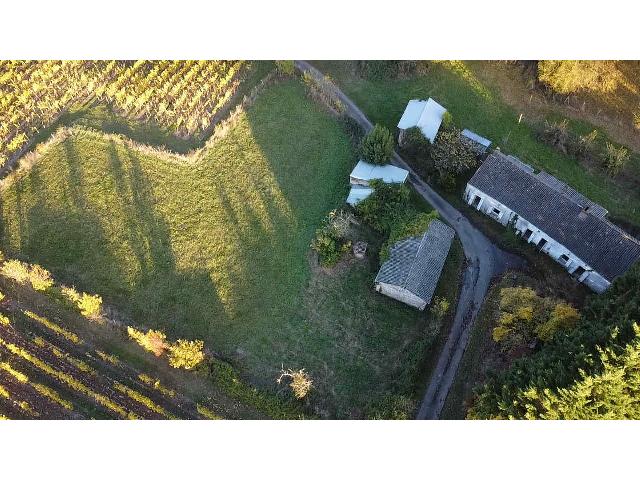 Huis te koop in SAINT-LAMBERT-DU-LATTAY 49750 Maine-et-Loire Pays de la Loire France: Woonhuis op een terrein van 4778 m2 met een woonoppervlakte van 97 m2. Indeling: 5 vertrekken, badkamer met douche....