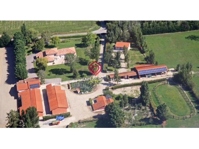 Paardenobject te koop in&nbsp;VILLENEUVE DU PAREAGE 09100 Ariège Midi-Pyrénées France: Groot paardenlandgoed op 45 minuten van Toulouse Ontdek aan de rand van Toulouse, op slechts 45 minuten van het stadscentrum, een uitzonderlijk paardenlandgoed dat klaar is om uw activiteiten te huisv...