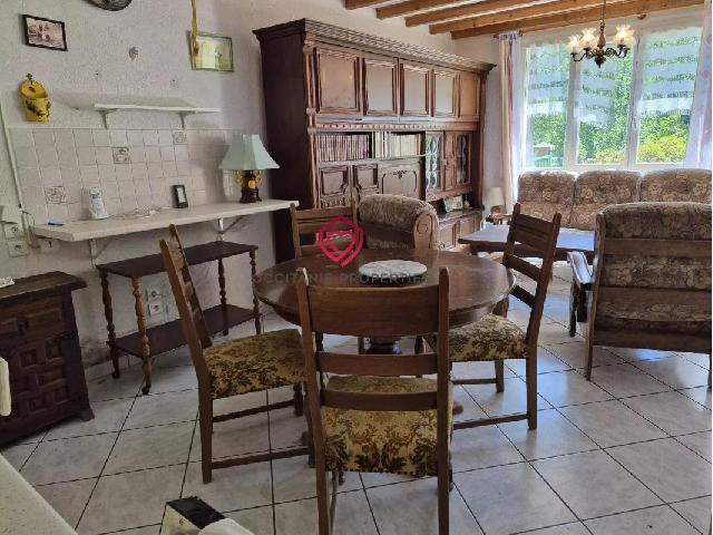 5+1