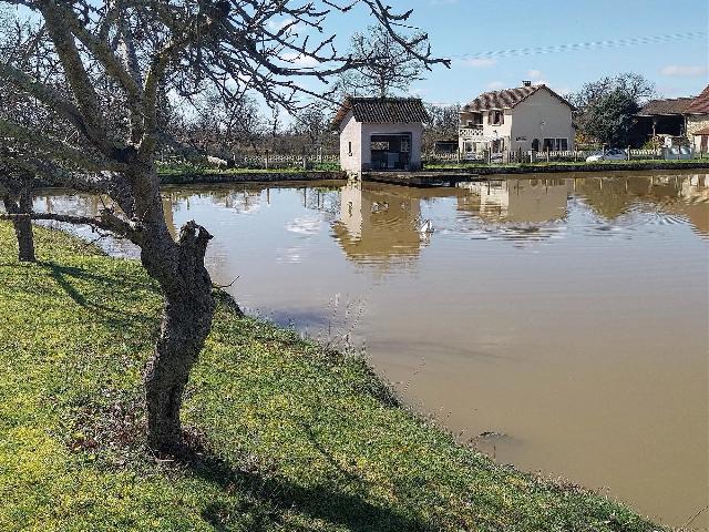 Huis te koop in BRIGUEIL-LE-CHANTRE 86290 Vienne Poitou-Charentes Frankrijk: Met visvijver. Dit huis in goede staat is in het zuiden van Vienne 86, regio Montmorillon, niet ver van Lussac les Eglises. Het is gebouwd in 1996 en bestaat uit een grote woonkamer met keukenhoek en ...