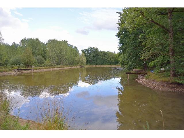 Agrarisch bedrijf te koop in PRISSAC 36370 Indre Centre France: Dit grote bosrijke terrein van bijna 9 hectaren is in het Parc Regional de la Brenne, vlakbij Prissac, departement Indre 36. Op het terrein bevindt zich een oude populierenplantage en een meer van ong...