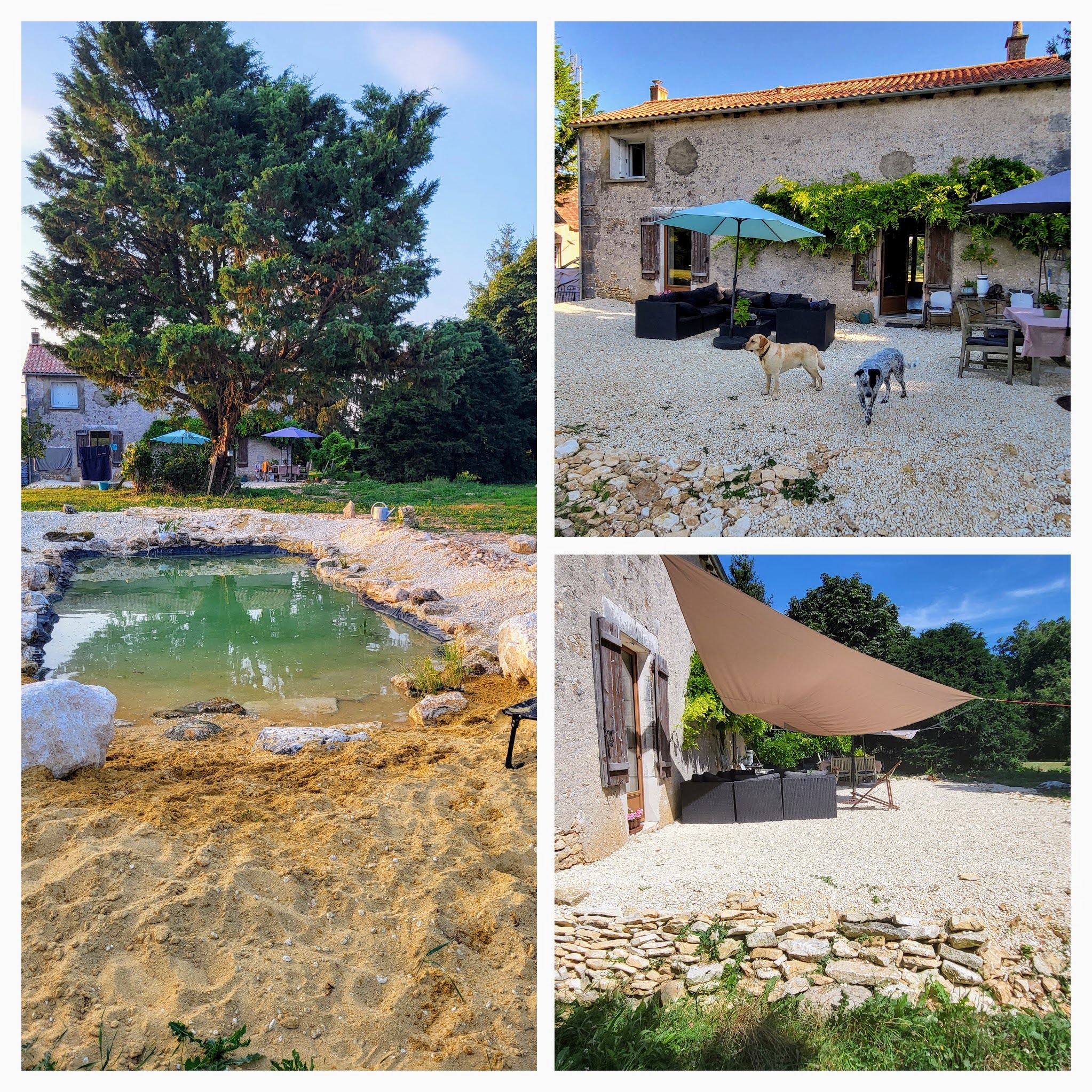 Huis te koop in VILLEMORT 86310 Vienne Poitou-Charentes Frankrijk: Te Koop Fermette met Gîte op terrein van 2 Hectare vlakbij Saint Savin (86 La Vienne)<br />
Deze volledig vrijstaande fermette, met bijgebouwen, is onlangs stijlvol verbouwd en gelegen op maar liefst 2 he...